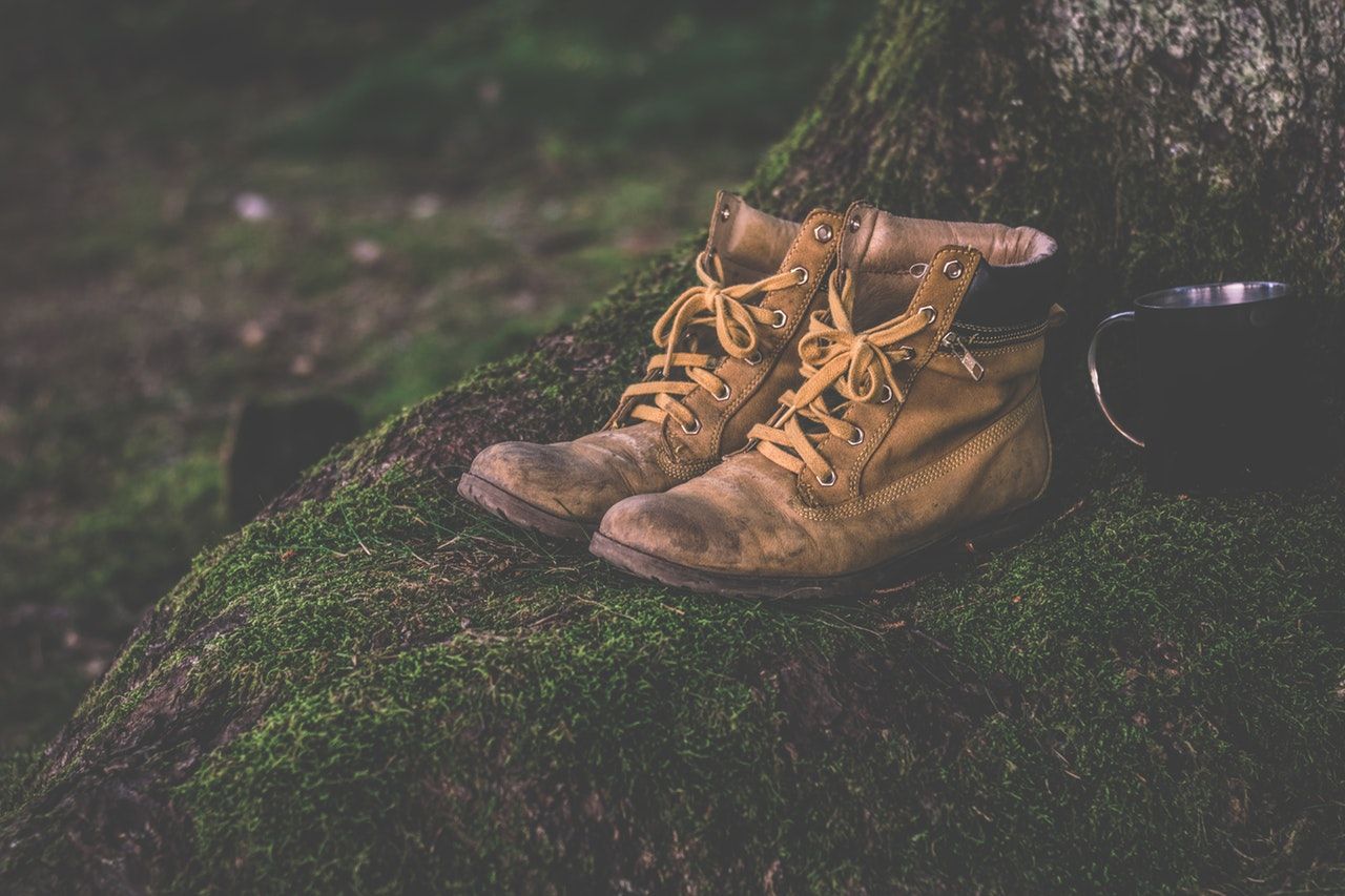 Camino de Santiago