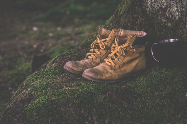Camino de Santiago